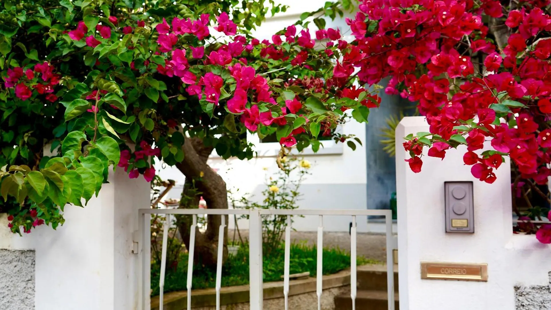 The Luzia House Villa Funchal